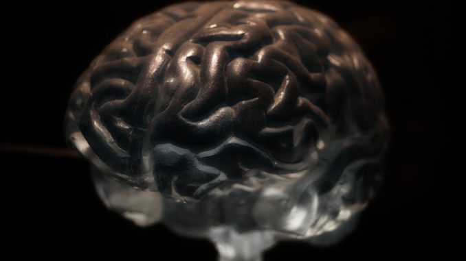 brain-2070412_960_720