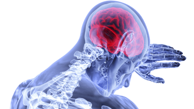brain-3168269_960_720
