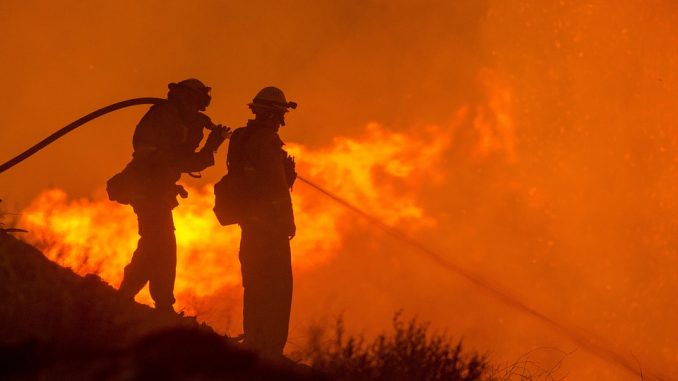 forest-fire-3694495_960_720
